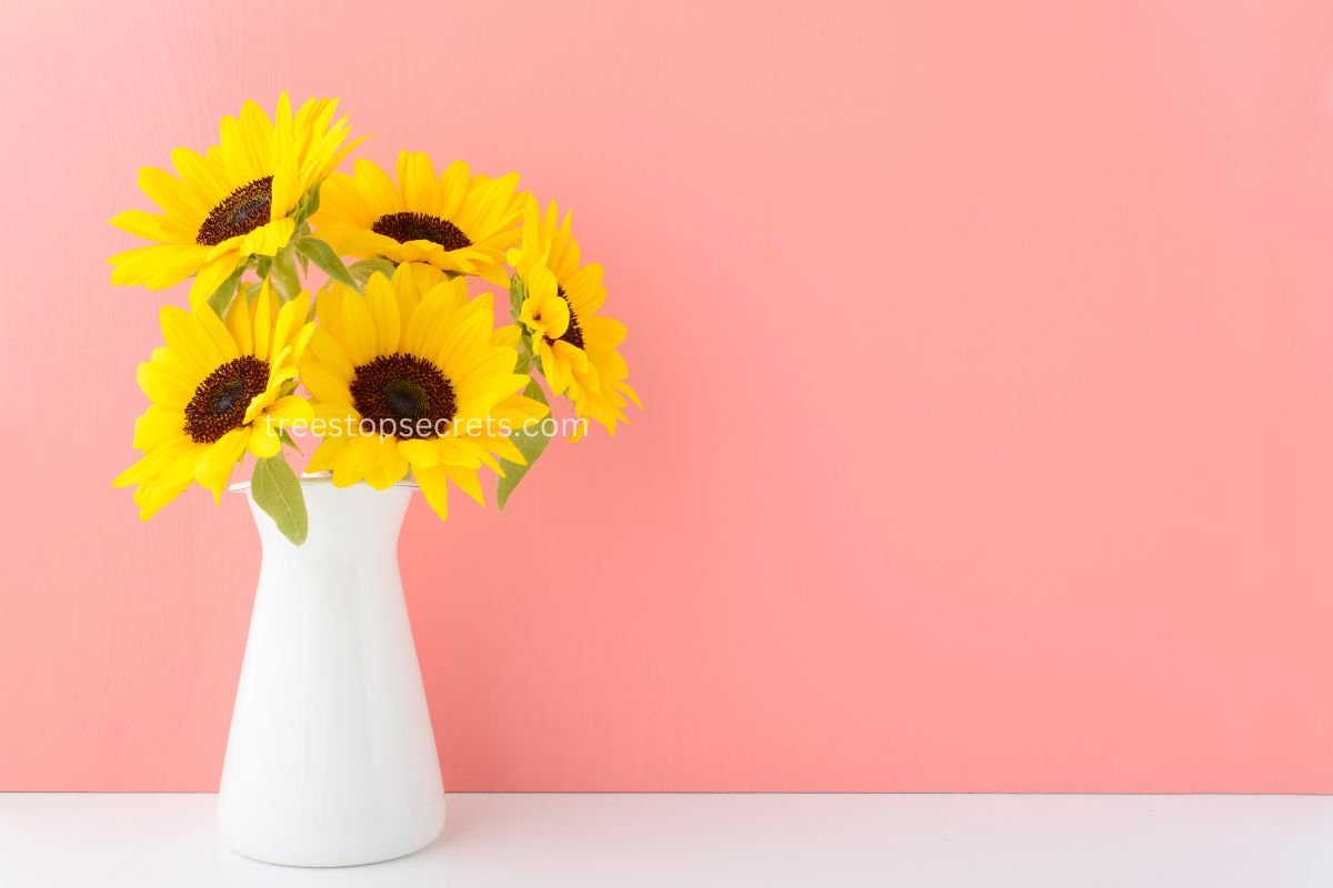 How Long Do Sunflowers Last in a Vase? Expert Tips for Longevity