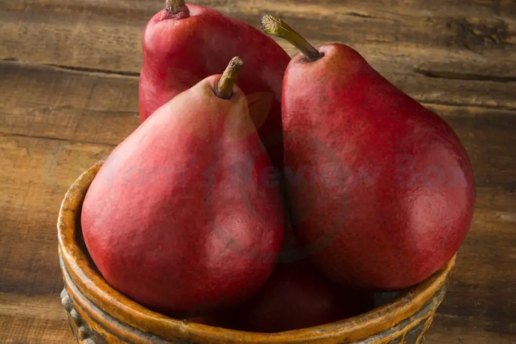 Identifying Anjou Pears