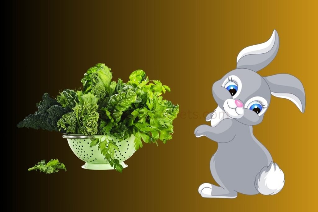 Leafy Greens and Vegetables for Rabbits