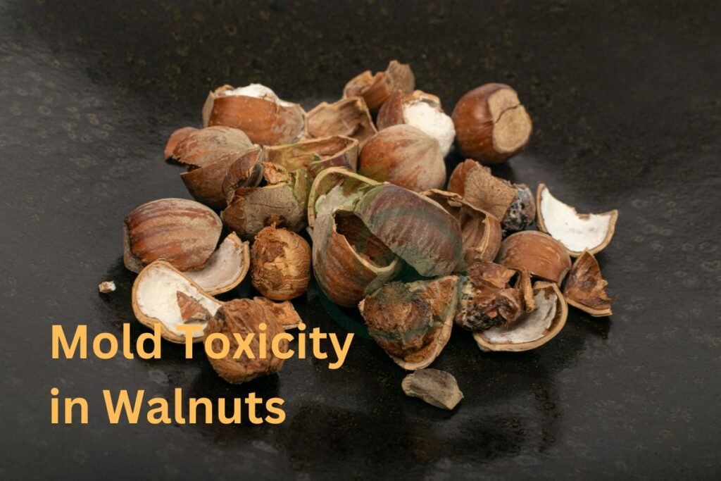 Mold Toxicity in Walnuts