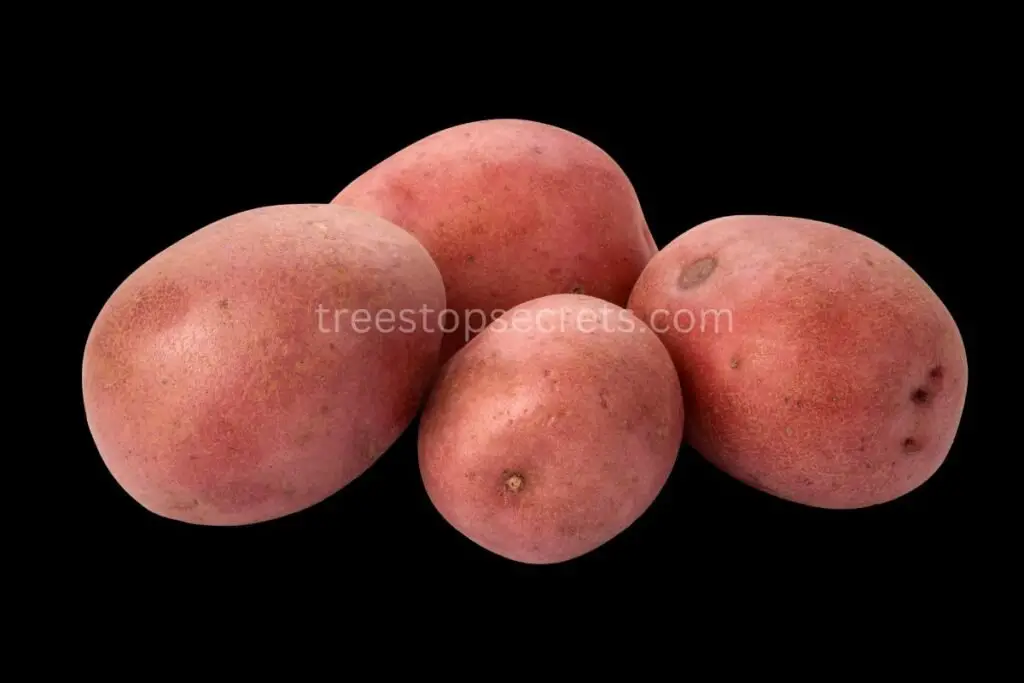 Number of Red Potatoes in a Pound