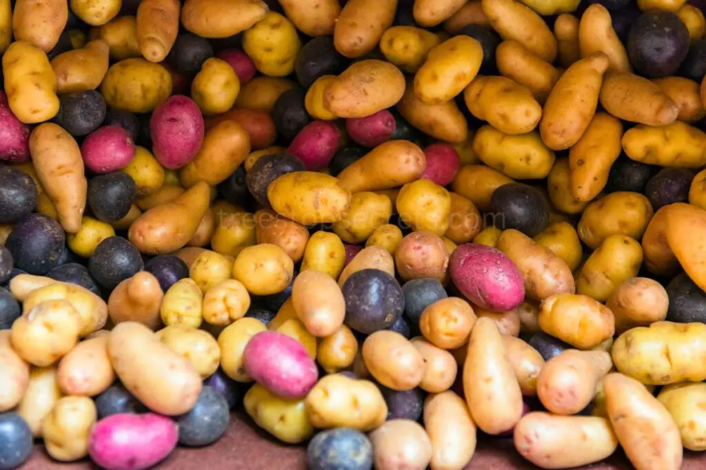 Proper Handling of Potatoes