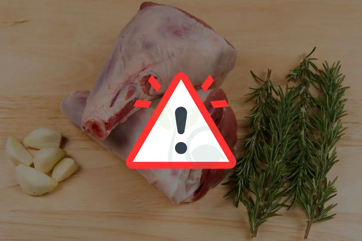 Can Dogs Eat Cooked Lamb Shank Bones? Understanding Risks And Prevention