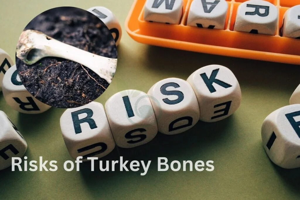 Risks of Turkey Bones