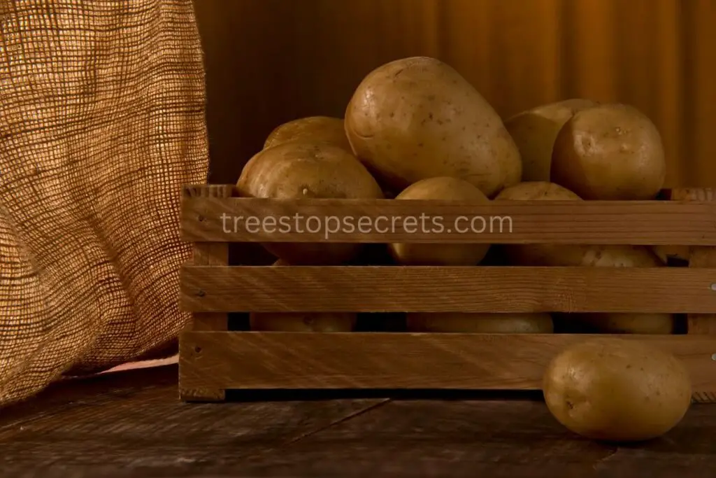 Storing Your Potatoes Correctly