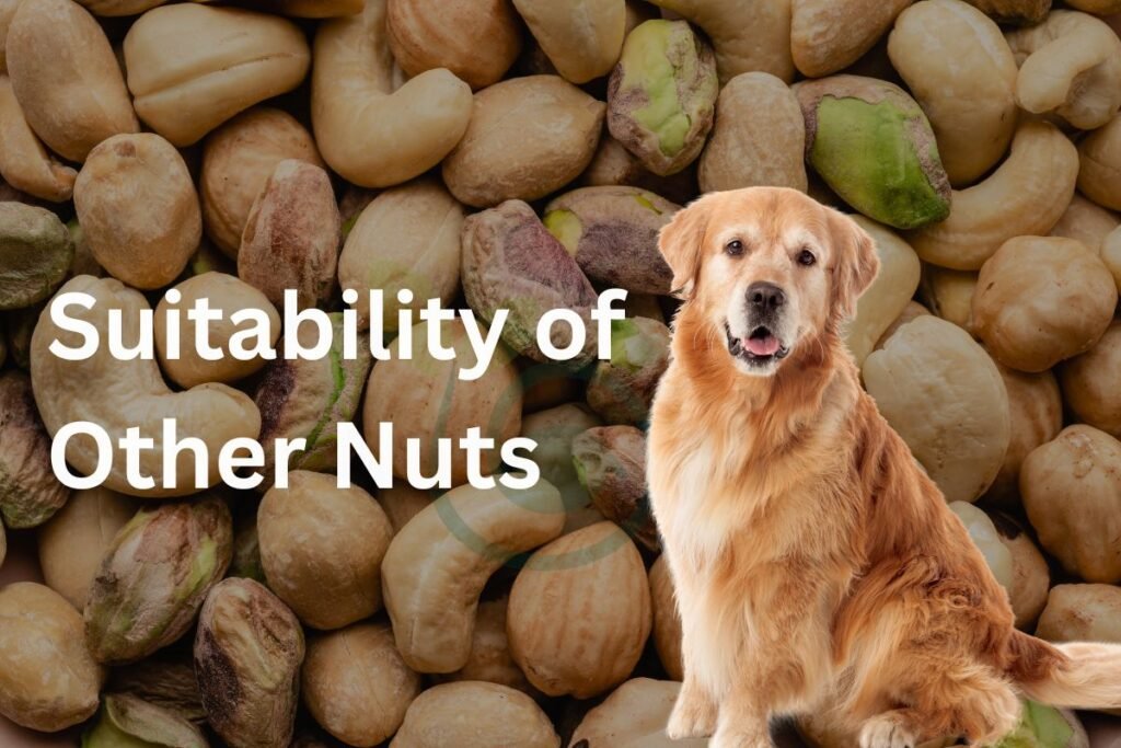 Suitability of Other Nuts