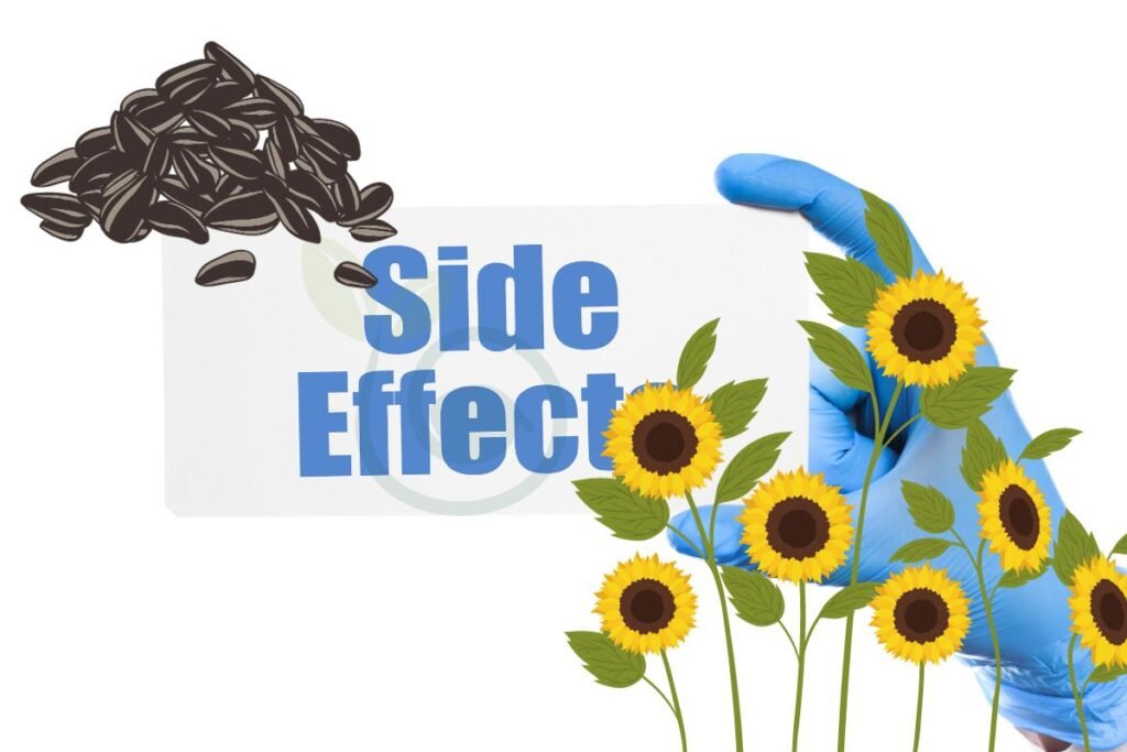 Sunflower Seeds Adverse Effects and Risks