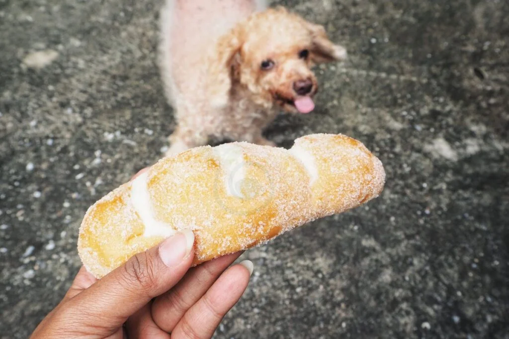Understanding Bread for Dogs