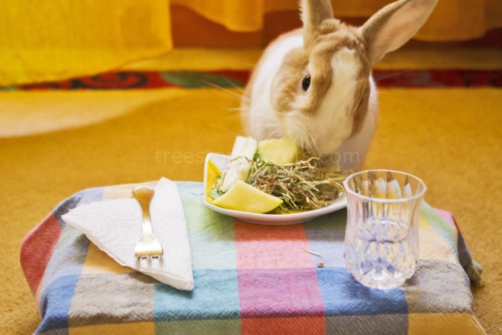 Understanding Rabbit Diets