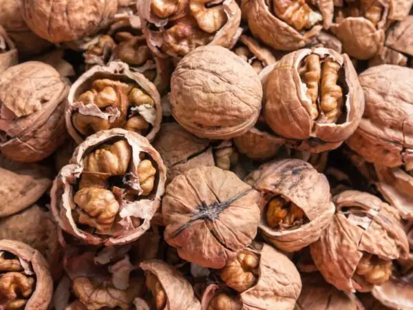 Unshelled Walnuts: Health Benefits, Selection, and Culinary Uses