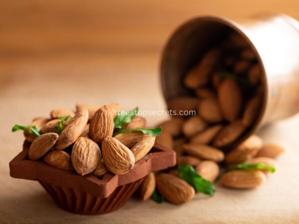 What is Raw Almonds: Unveiling the Truth and Nutritional Benefits