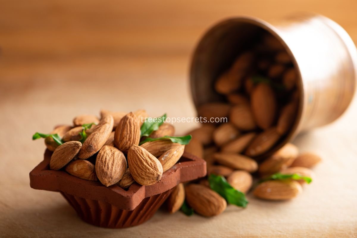 What is Raw Almonds: Unveiling the Truth and Nutritional Benefits