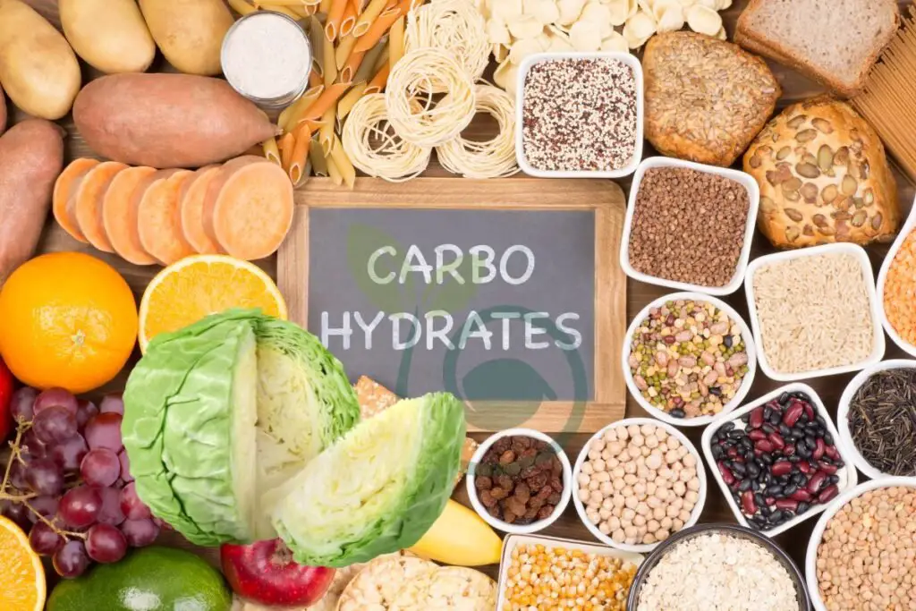 Carbohydrates Breakdown