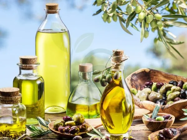 How Many Litres of Olive Oil per Tree: Understanding Production Factors