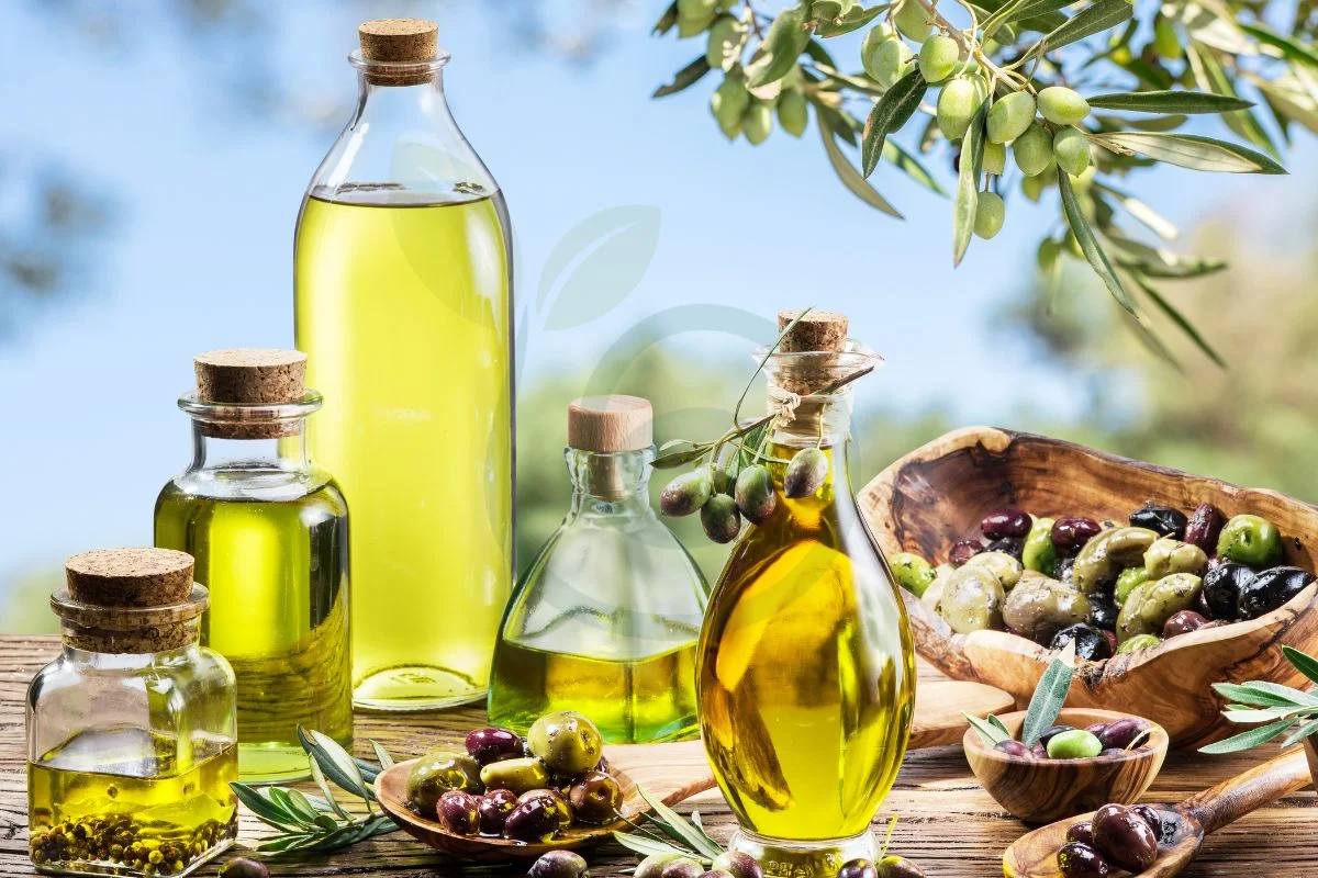 How Many Litres of Olive Oil per Tree: Understanding Production Factors