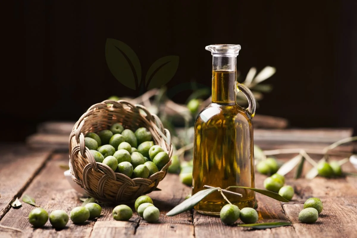 How Many Olive Trees to Make Olive Oil: Production Guide