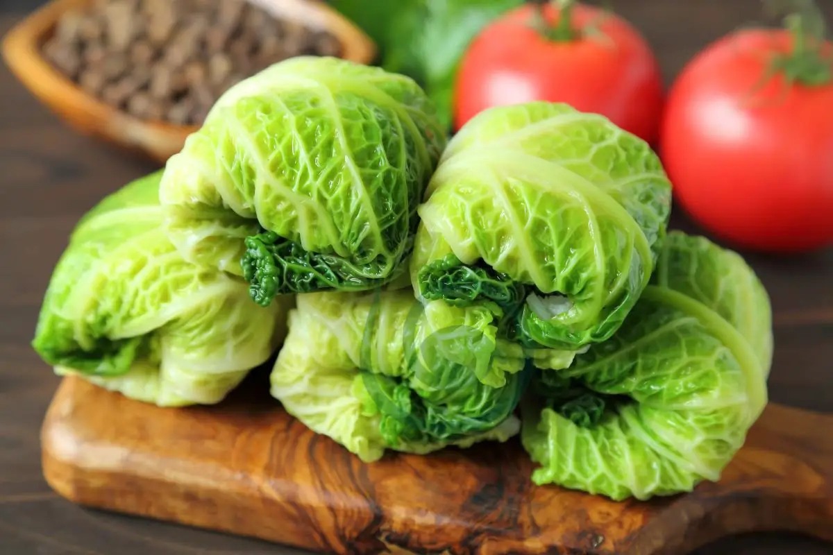 How Many Calories in Stuffed Cabbage: Nutritional Overview