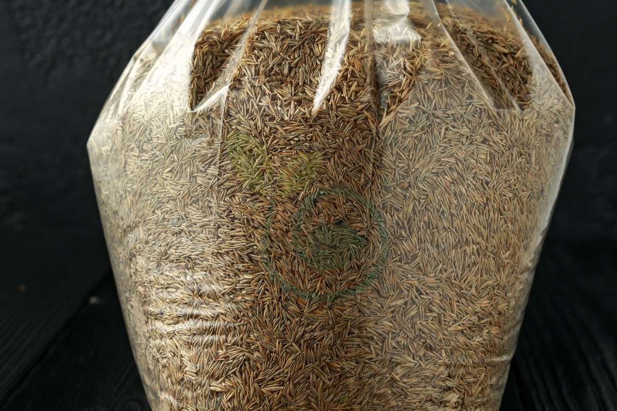 Bulk Grass Seed Michigan: Benefits, Types & Sowing Guide