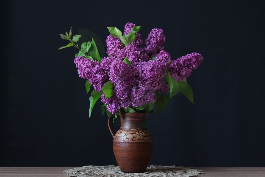 Can You Grow a Lilac Bush in a Pot