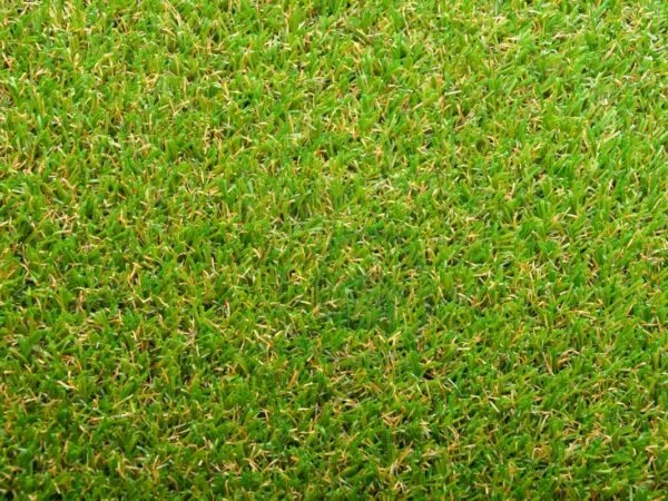 Best Bermuda Grass Seed for Central Texas: Planting Guide & Top Choices