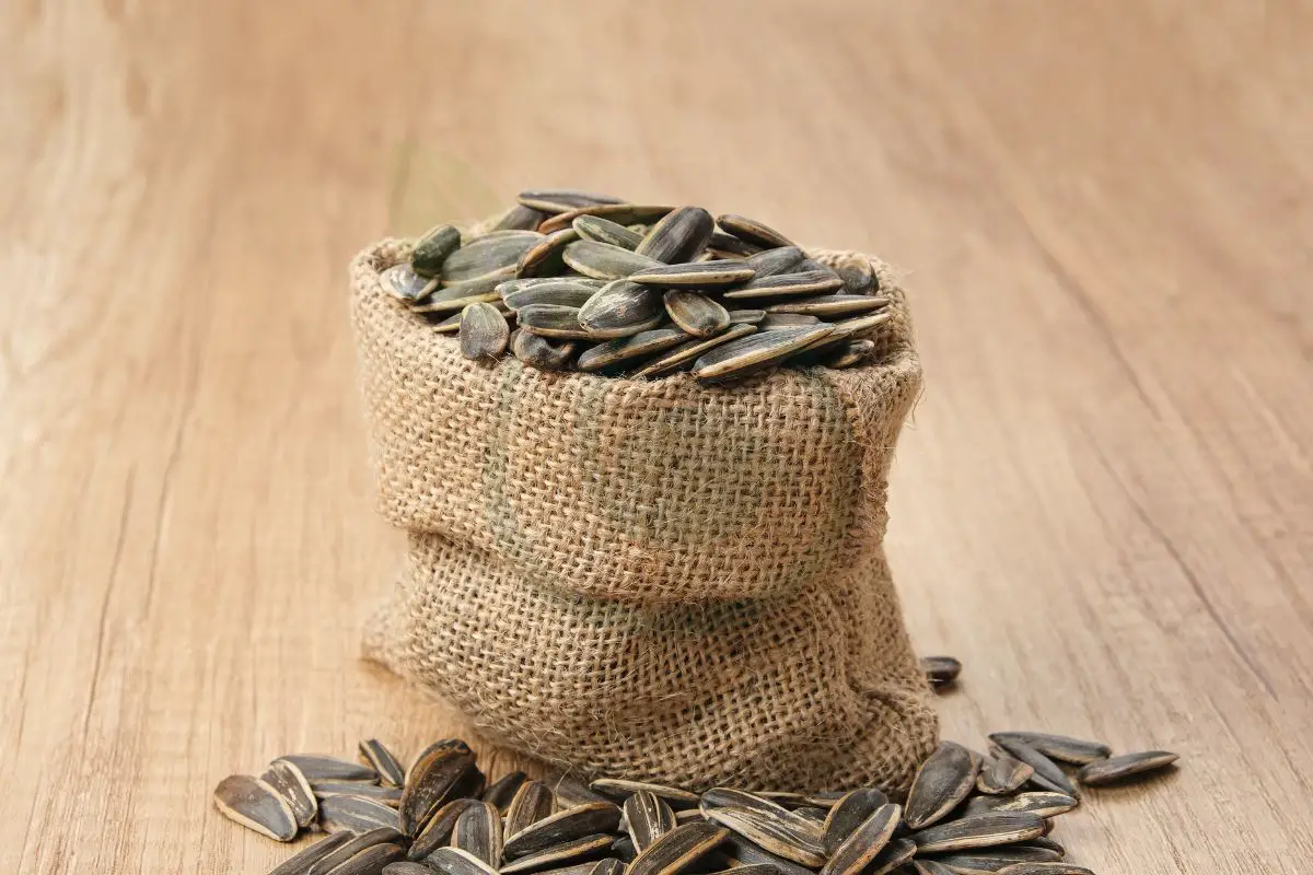 Does Sunflower Seeds Make You Fat? Understanding Weight Management