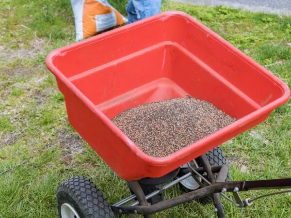 Can You Put Grass Seed Down After Fertilizer: Seeding Techniques