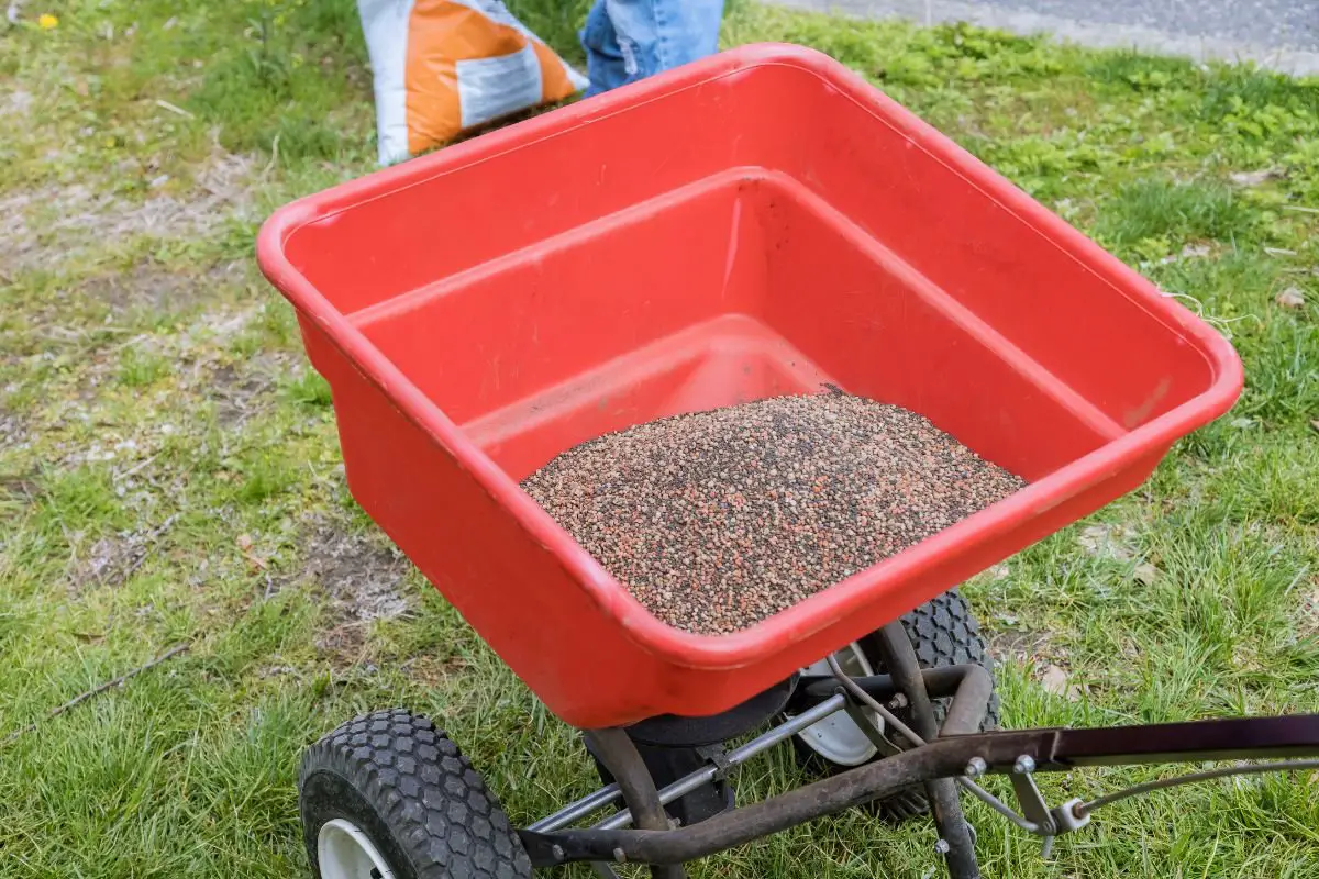 Can You Put Grass Seed Down After Fertilizer: Seeding Techniques