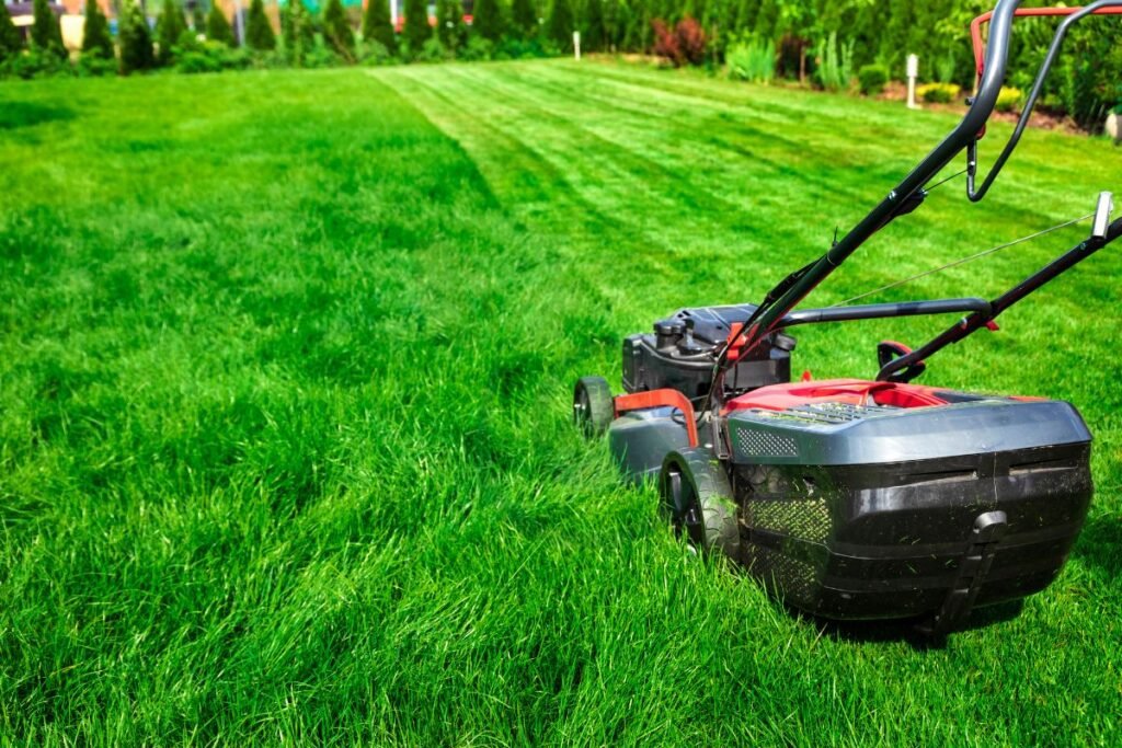 Lawn Care Practices