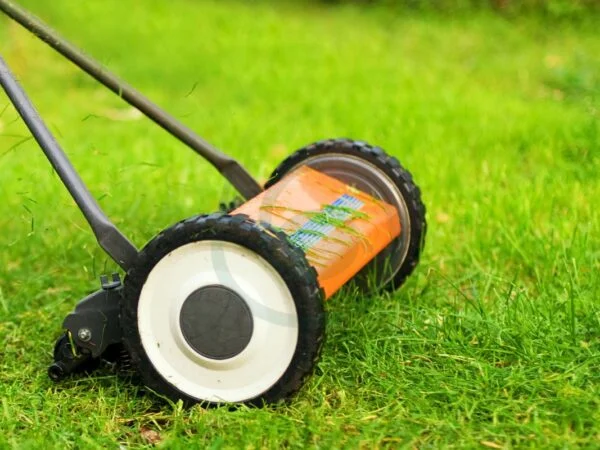 Can You Mow Grass After Seeding: Essential Tips
