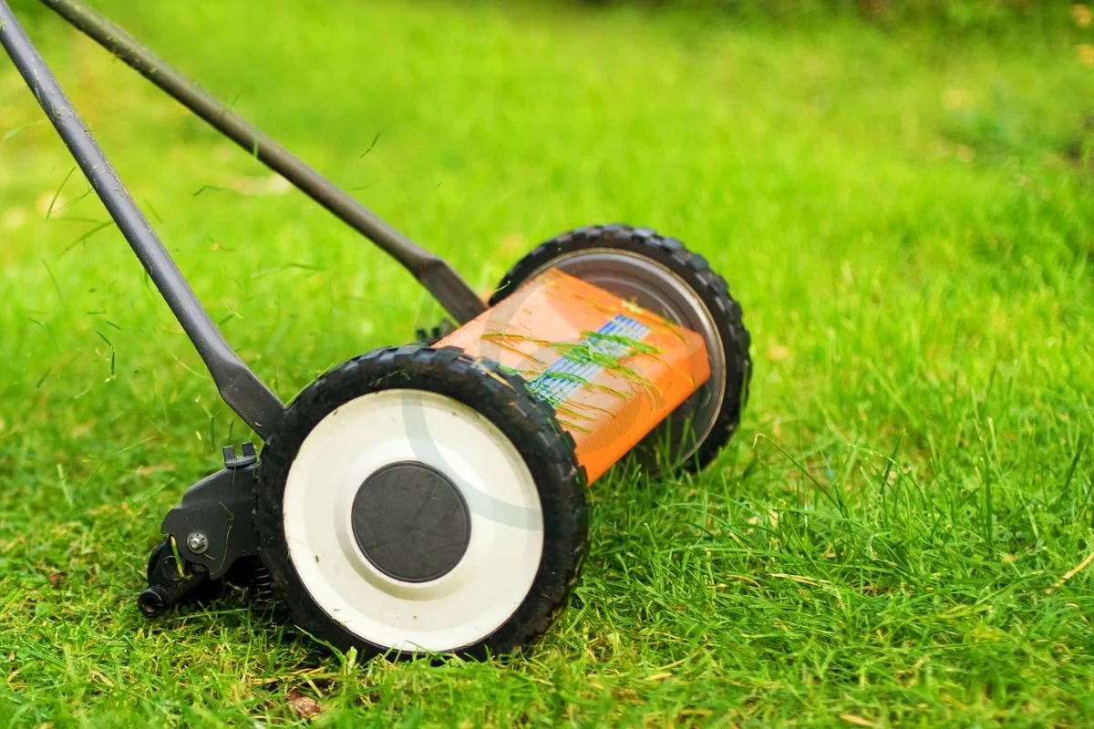 Can You Mow Grass After Seeding: Essential Tips