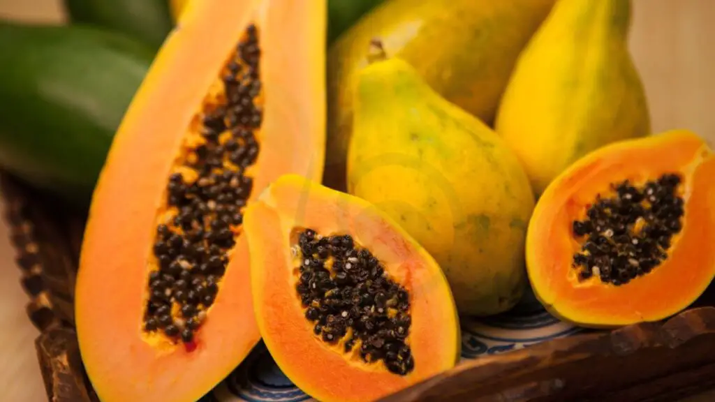 Papaya 