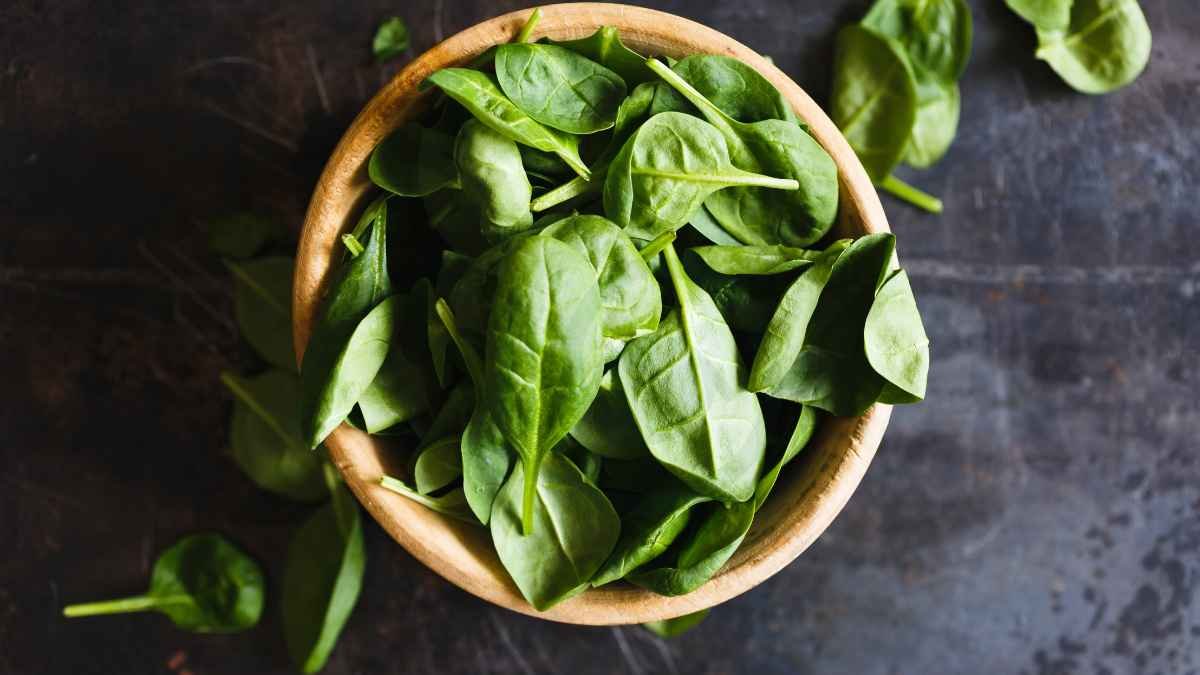 Can You Eat Basil Leaves: Benefits, Nutrition & More