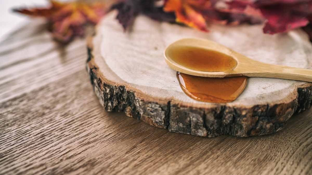 Can You Get Syrup from Any Maple Tree? - Maple Tree Varieties & Tapping Tips
