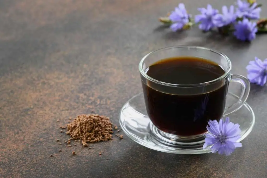 Chicory Coffee Health Benefits