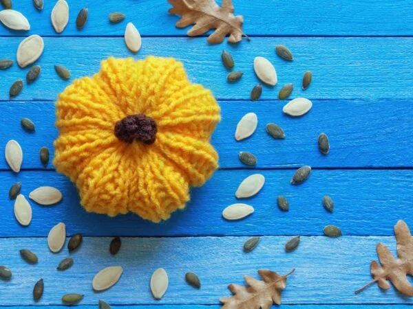 Craft with Pumpkin Seeds: Creative Ideas & DIY Projects