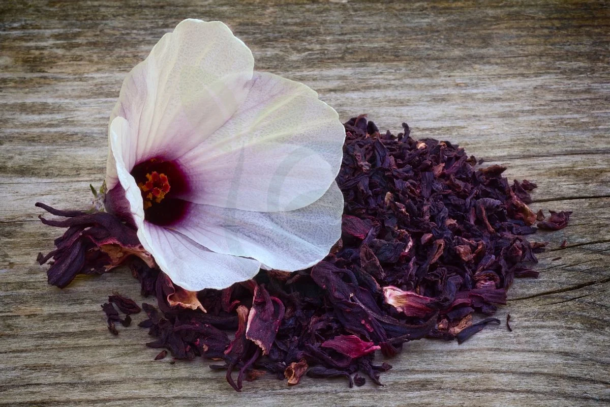 How Do You Dry Hibiscus Flowers for Tea: Methods & Brewing Tips