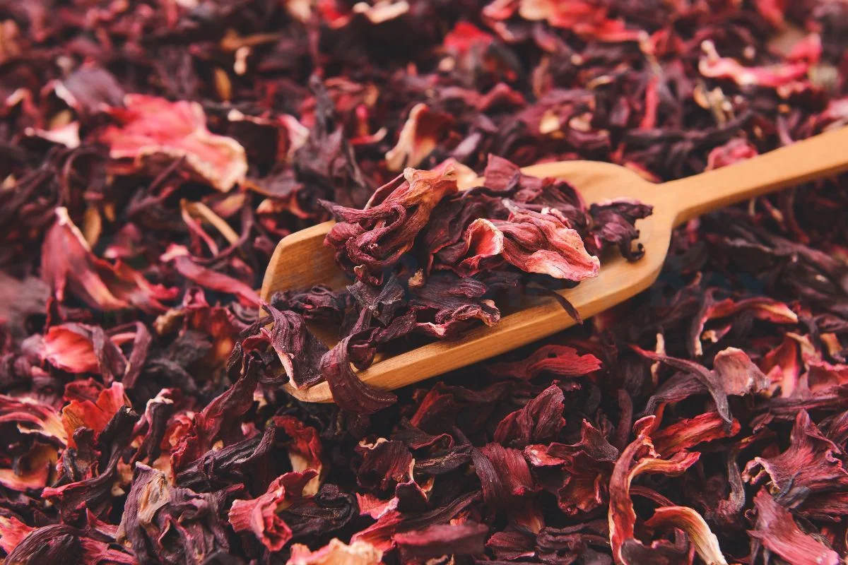 How to Dry Hibiscus: Methods & Uses