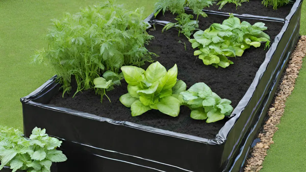 How Often To Water Raised Bed Understanding Optimal Techniques