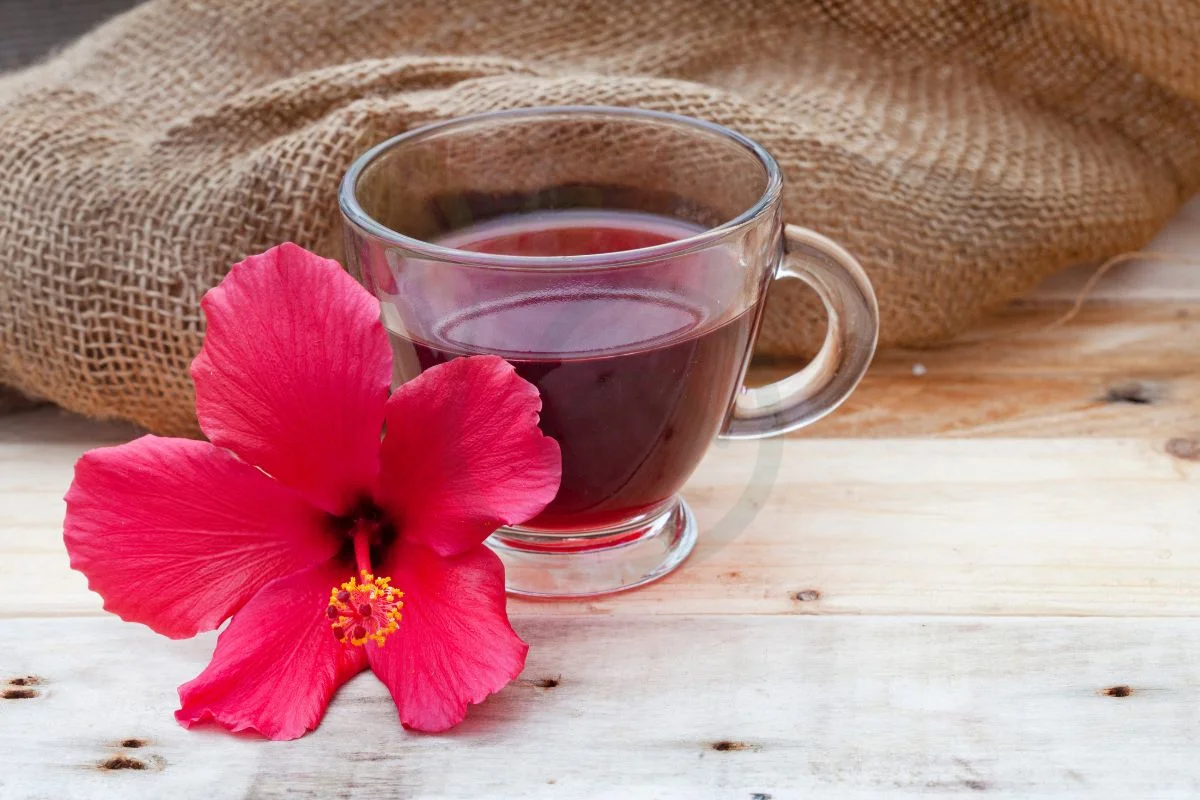 How is Hibiscus Tea Made: Step-by-Step Brewing & Health Benefits