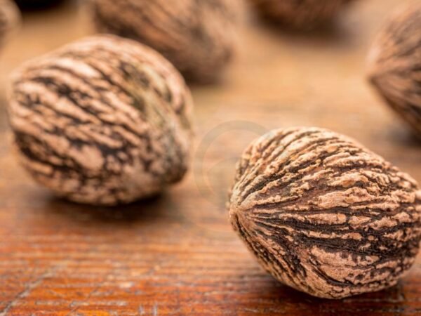 How to Eat Black Walnuts: Harvesting, Preparing & Cooking