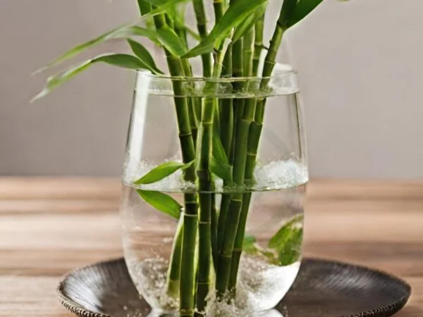 How to Grow Bamboo Cuttings in Water: Complete Guide