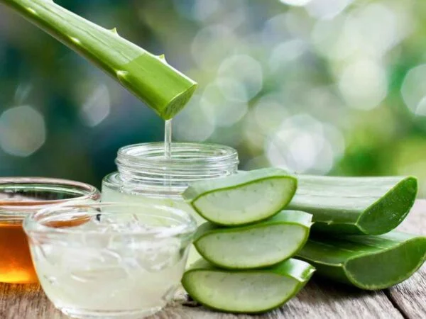 How to Make Aloe Vera Gel for Hair: Step-by-Step Guide