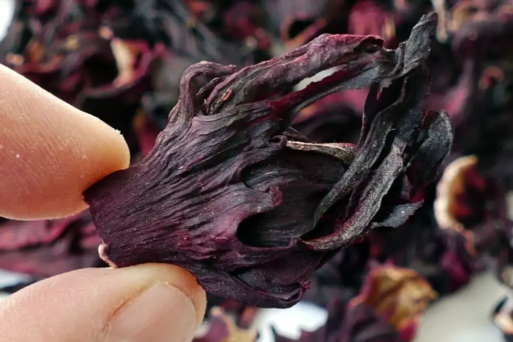How to Make Hibiscus Tea from Flowers