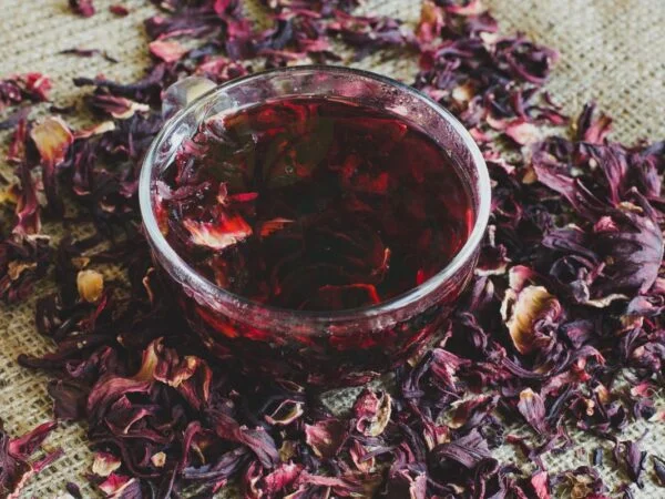 How to Make Hibiscus Tea from Flowers: Recipe, Brewing Tips & More