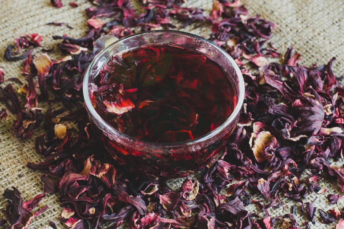 How to Make Hibiscus Tea from Flowers: Recipe, Brewing Tips & More