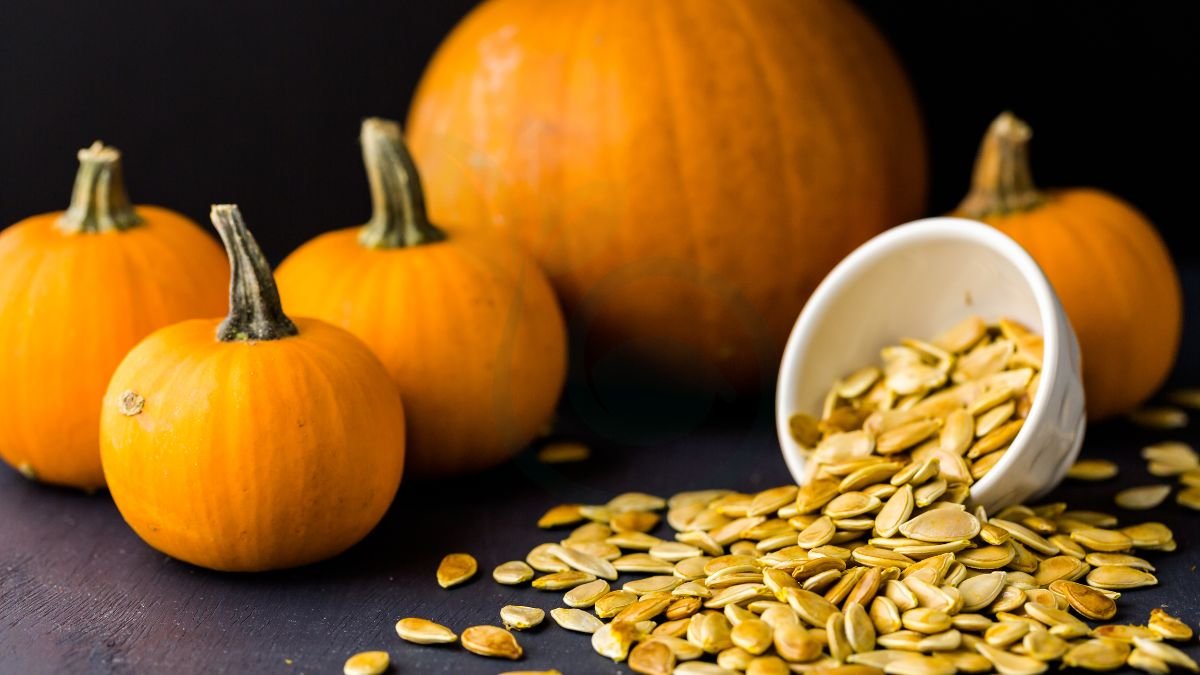 How to Save Pumpkin Seeds for Growing Next Year: Step-by-Step Guide