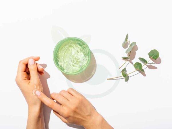 How to Use Aloe Vera to Lighten Skin: Benefits & Safety