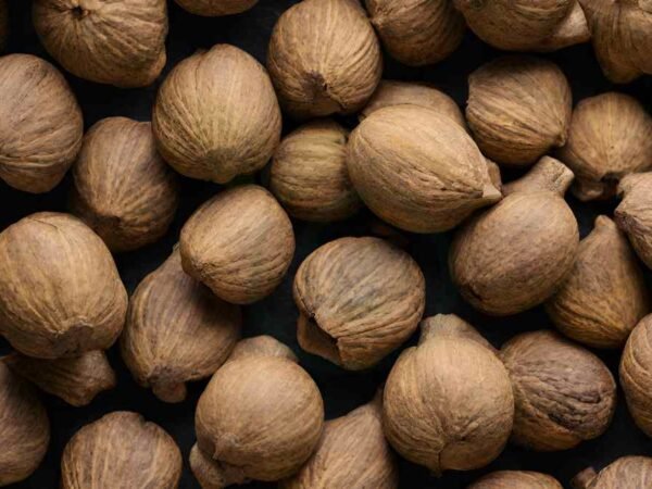 What Can You Do with Black Walnuts: Harvesting, Processing & More