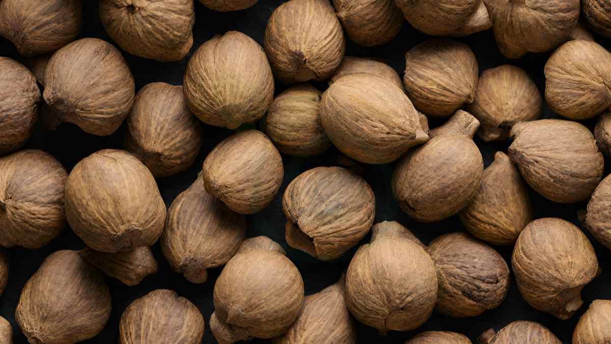 What Can You Do with Black Walnuts: Harvesting, Processing & More