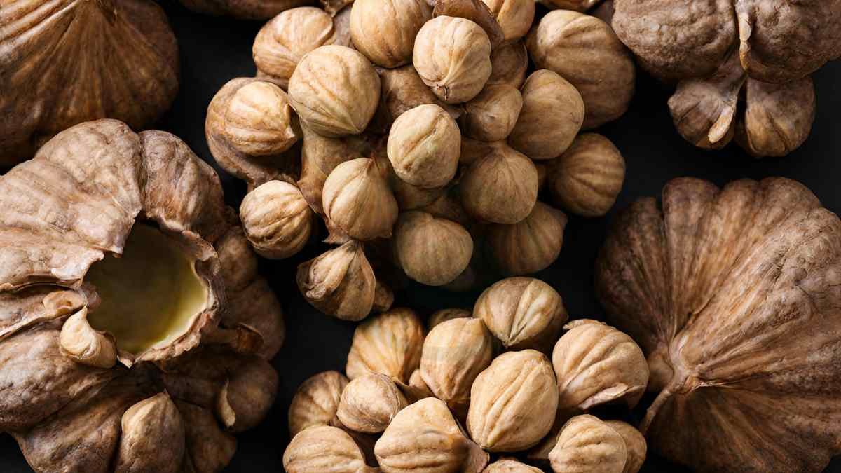 How to Dry Black Walnuts: Harvesting, Drying & Recipes